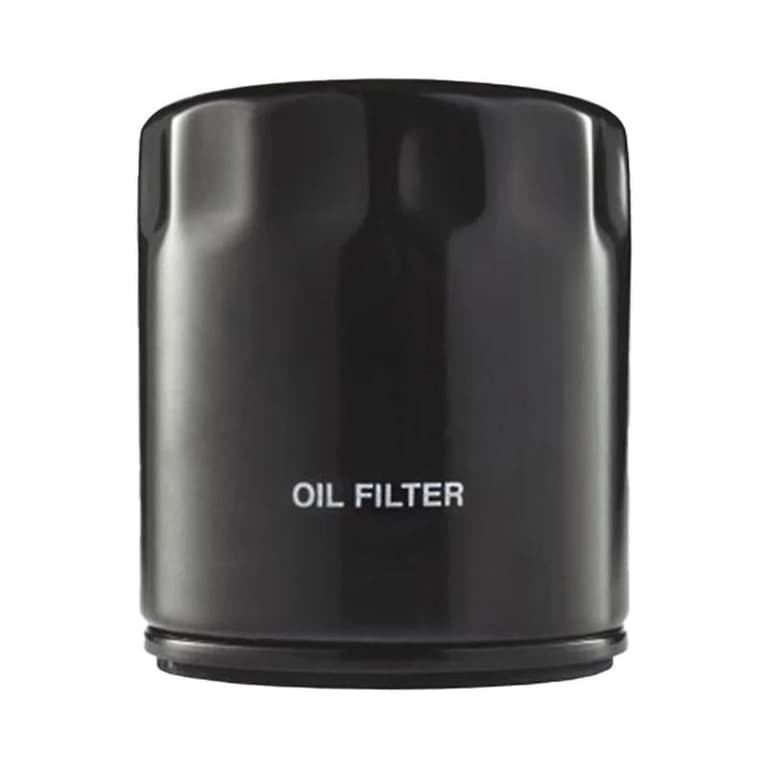 Polaris 2520799 OEM Oil Filter - 0